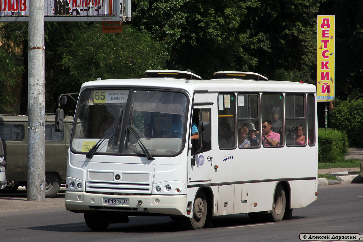 Воронежская область, ПАЗ-320302-08 № Р 818 РК 31