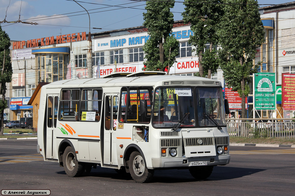 Воронежская область, ПАЗ-32054 № Е 025 КН 123