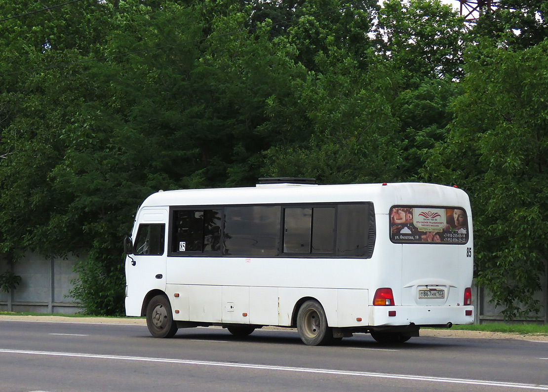 Краснодарский край, Hyundai County LWB C09 (ТагАЗ) № Т 867 НК 123