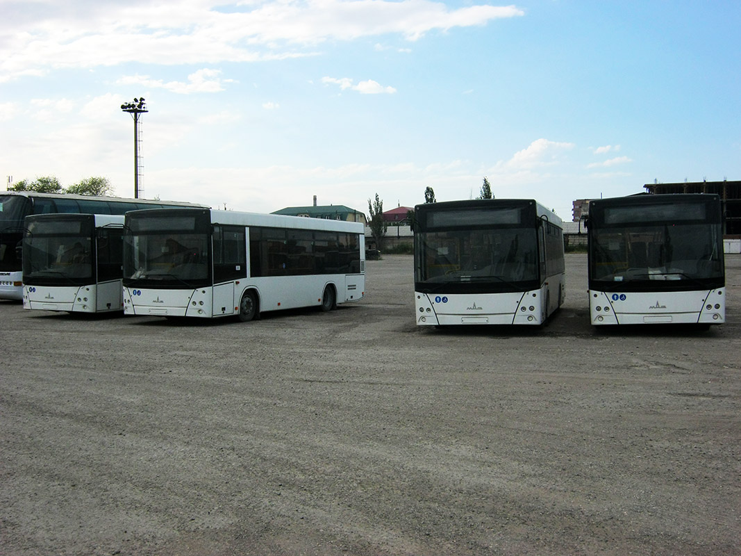 Dagestan — New Buses