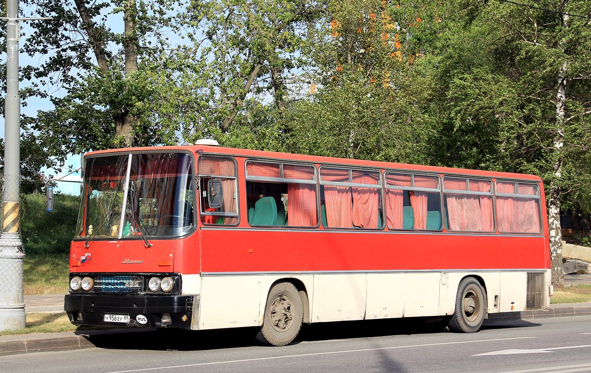 Москва, Ikarus 256 № У 956 ЕУ 89