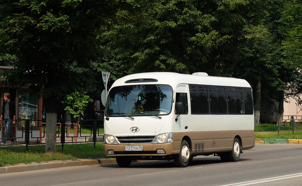 Москва, Hyundai County Gold № Т 217 ЕВ 50