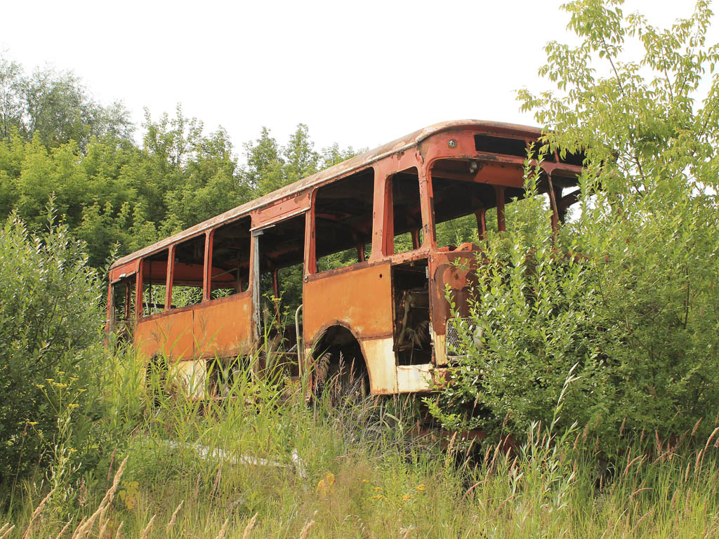 Нижегородская область, ЛиАЗ-677М № АК 954 52