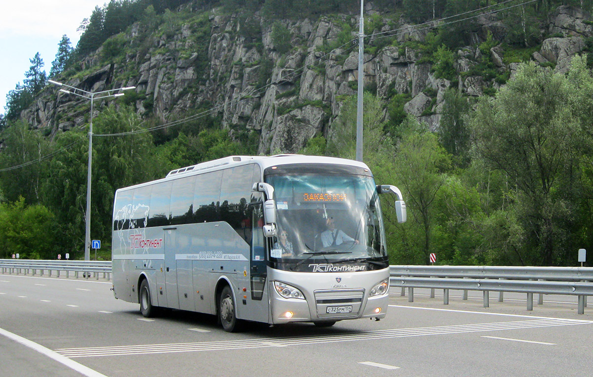 Новосибирская область, Higer A80 № С 325 РМ 154
