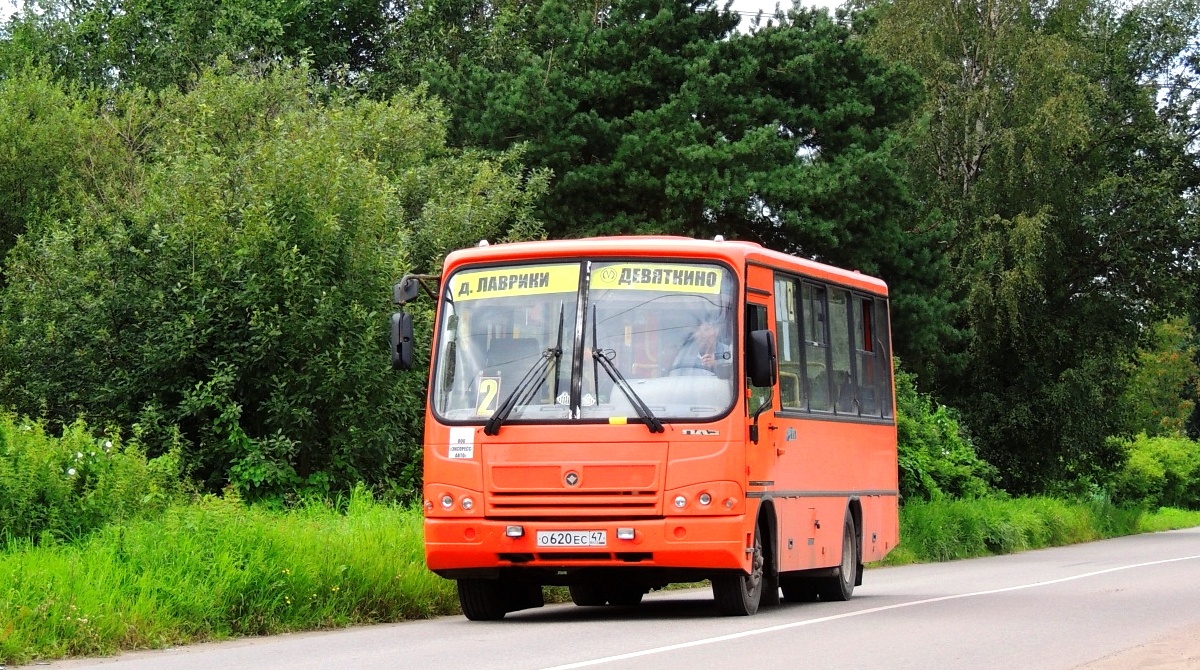 Ленинградская область, ПАЗ-320402-05 № О 620 ЕС 47