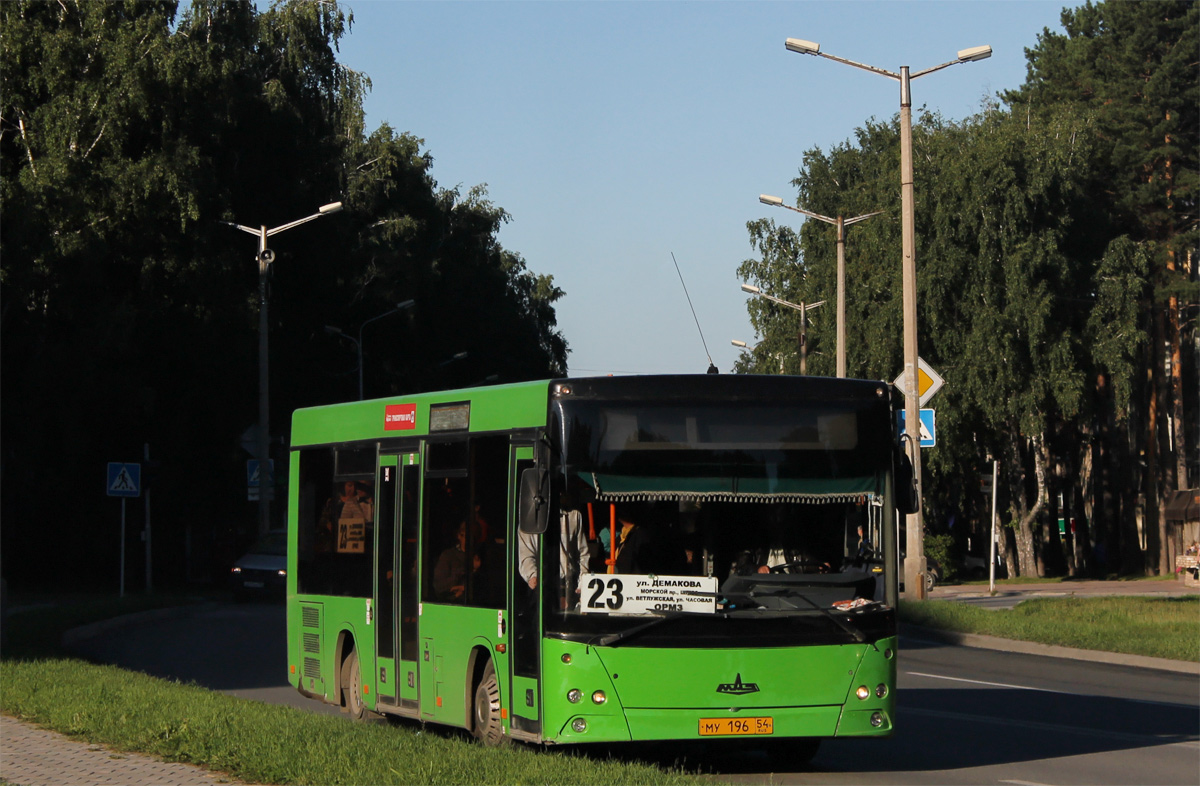 Новосибирская область, МАЗ-226.060 № 3133