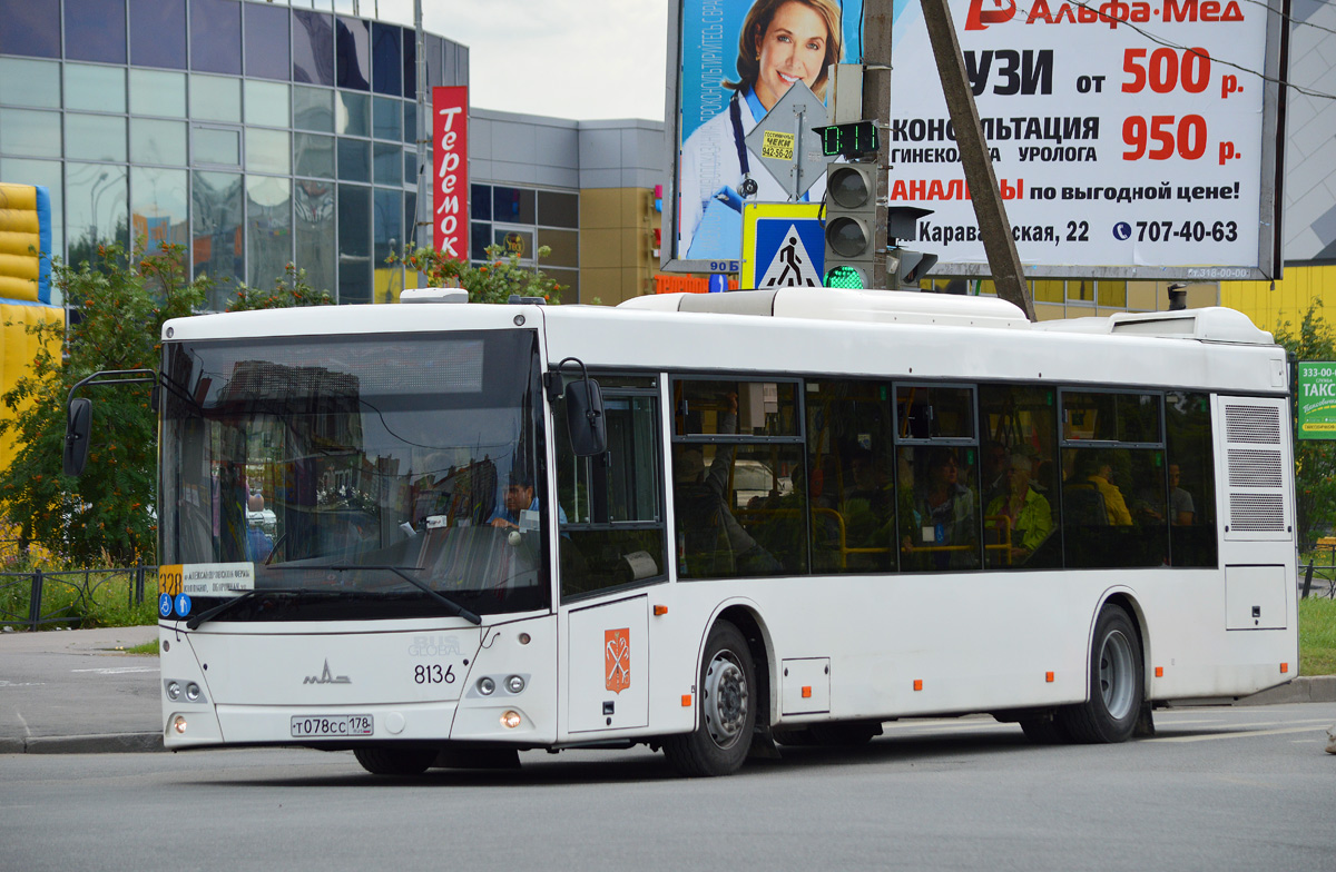 Sankt Petersburg, MAZ-203.085 Nr 8136