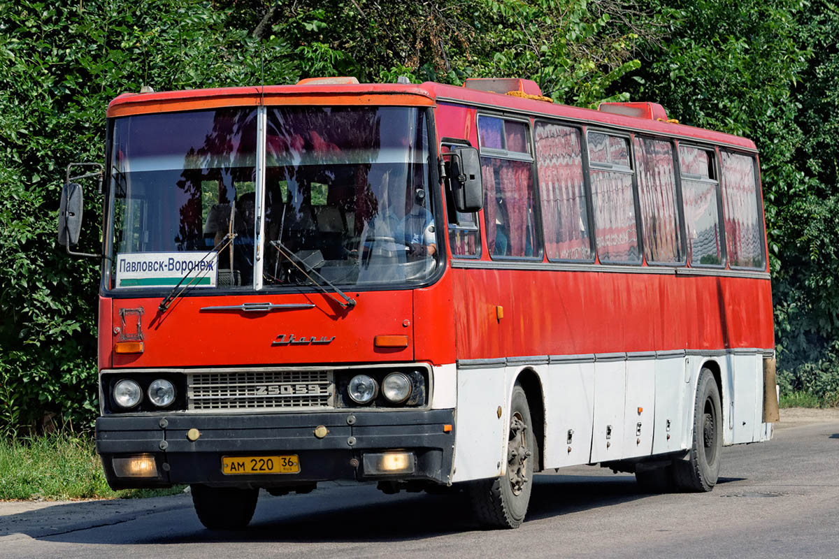 Воронежская область, Ikarus 250.59 № АМ 220 36 — Фото — Автобусный транспорт