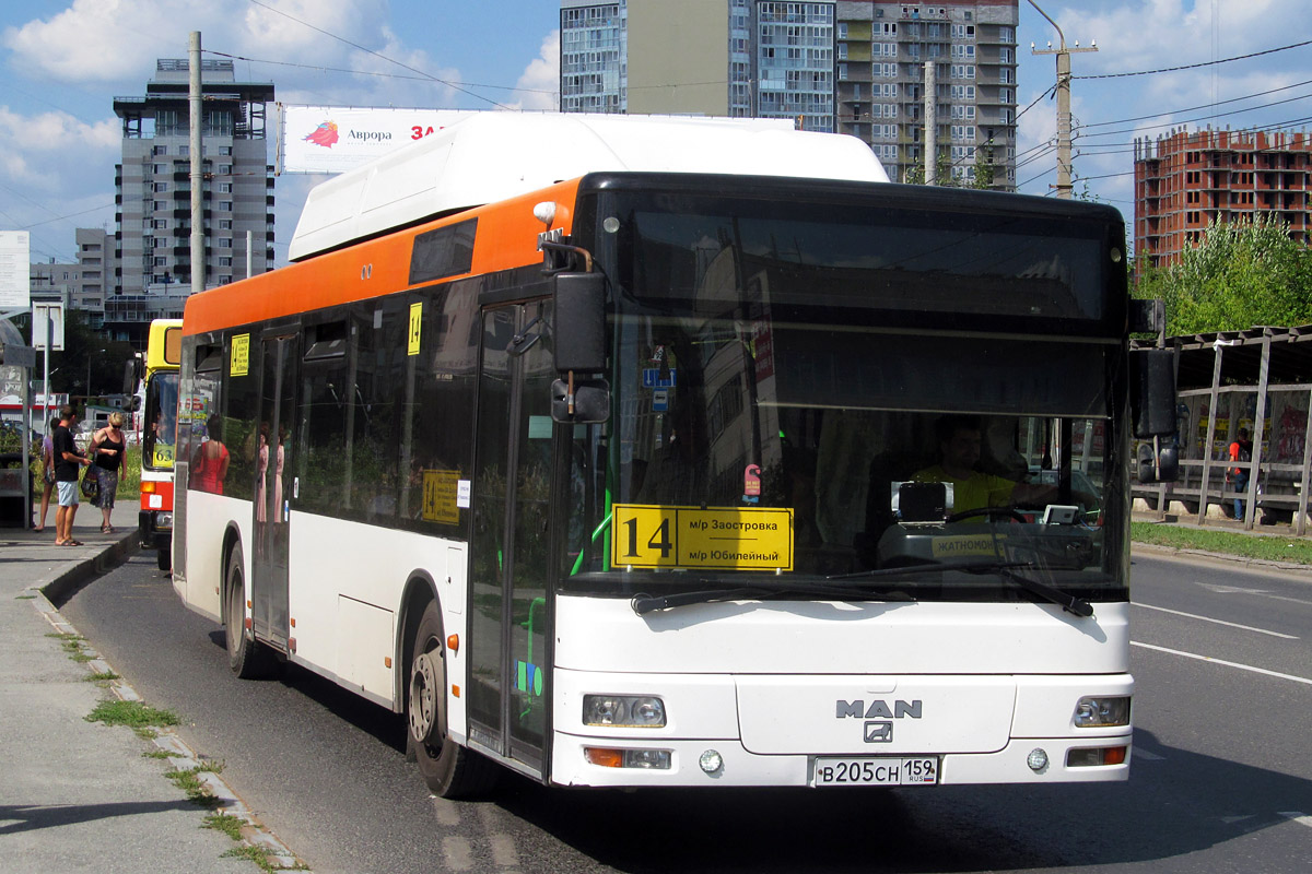 Пермский край, MAN A21 NL313 CNG № В 205 СН 159