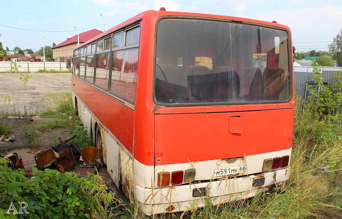 Тамбовская область, Ikarus 256.74 № М 591 МК 68