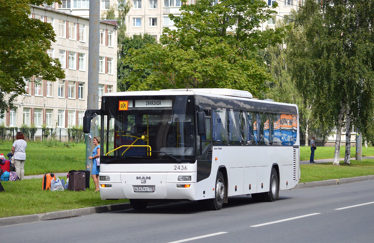 Санкт-Петербург, MAN A72 Lion's Classic SÜ283 № 2436