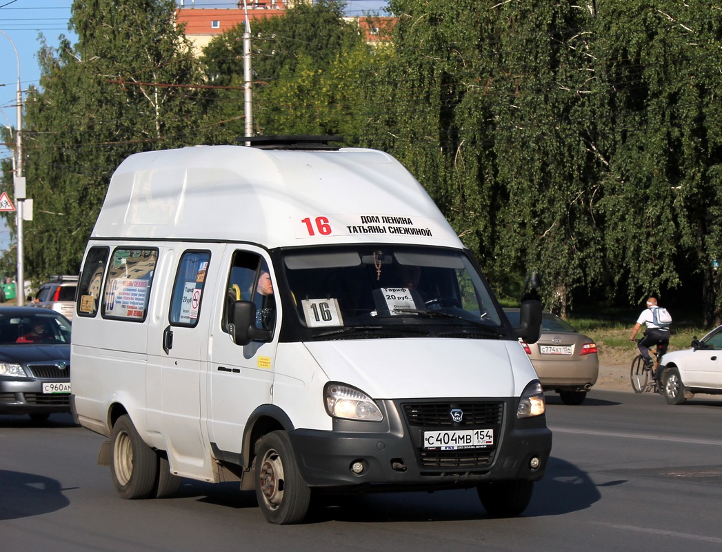 Novosibirsk region, Luidor-225000 (GAZ-322133) č. С 404 МВ 154
