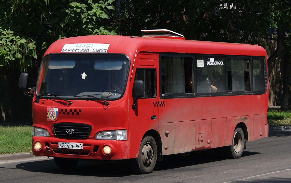 Ростовская область, Hyundai County LWB C11 (ТагАЗ) № 091