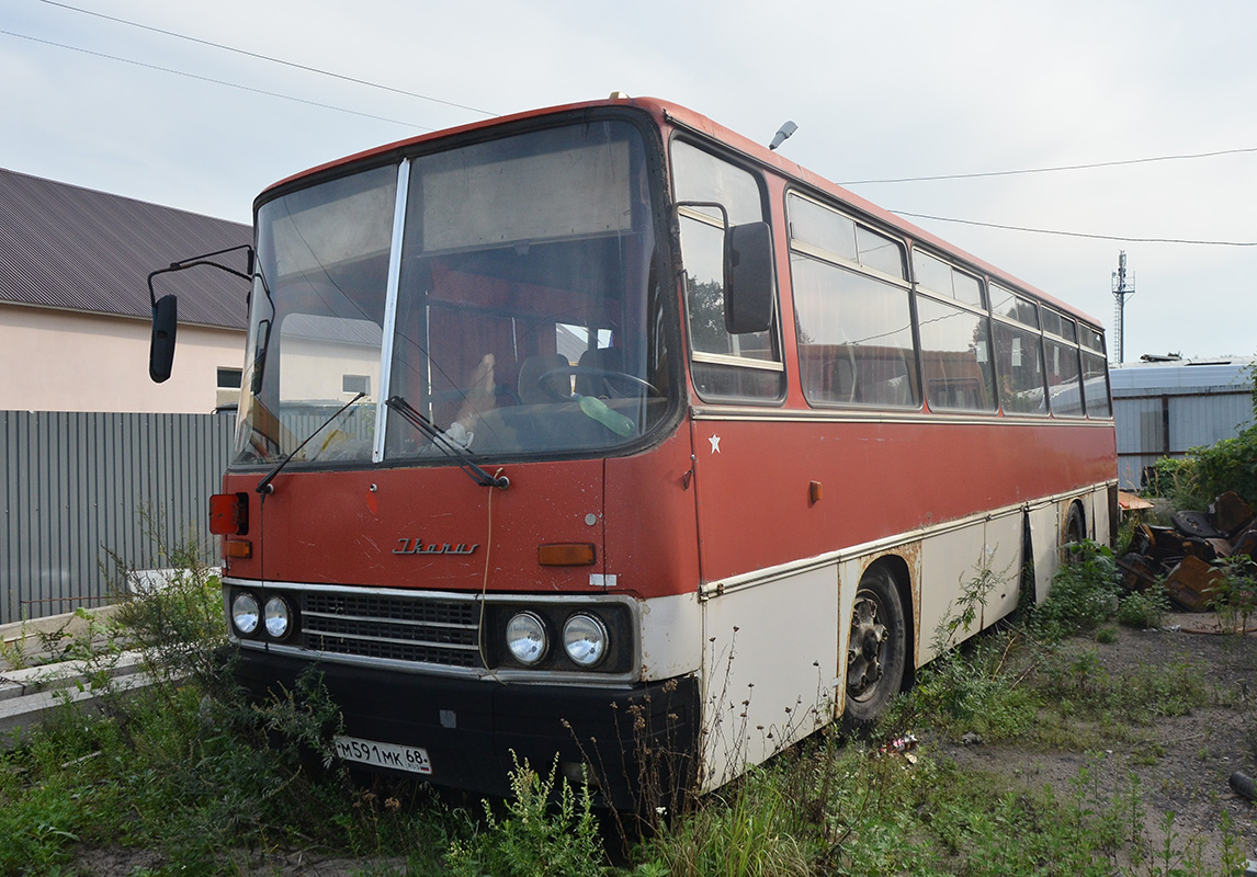 Tambov region, Ikarus 256.74 # М 591 МК 68