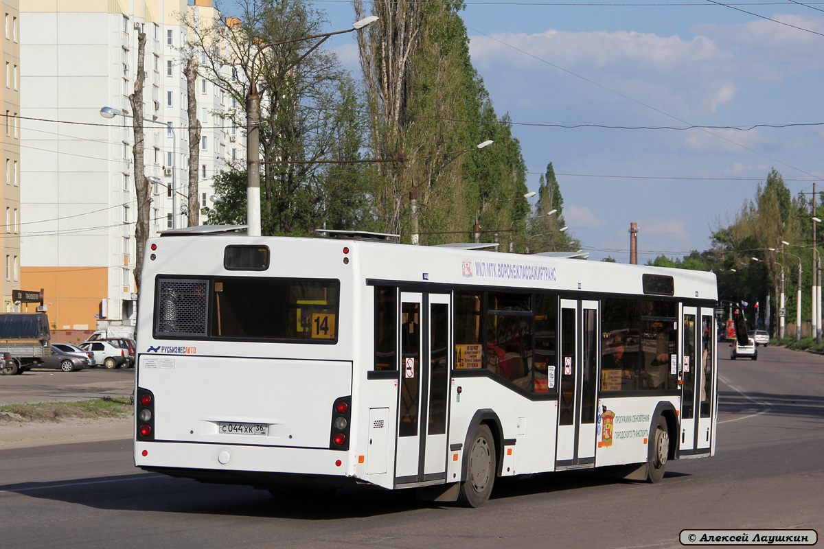 Воронежская область, МАЗ-103.469 № С 044 ХК 36