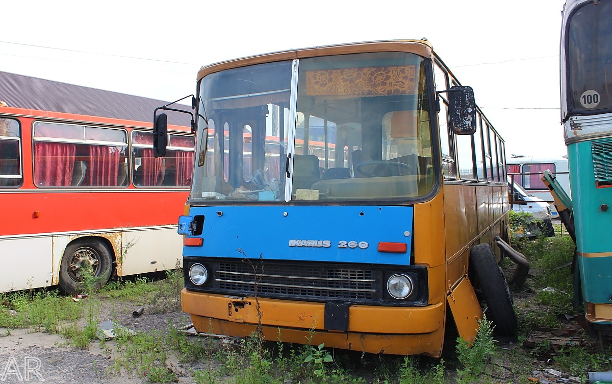 Tambov region, Ikarus 260.02 Nr. АВ 196 68