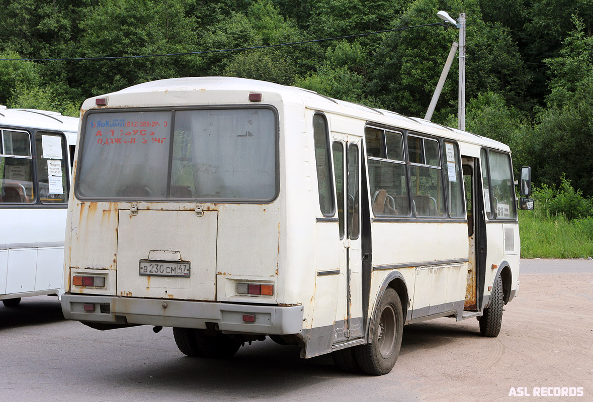 Ленинградская область, ПАЗ-4234 № В 230 СМ 47