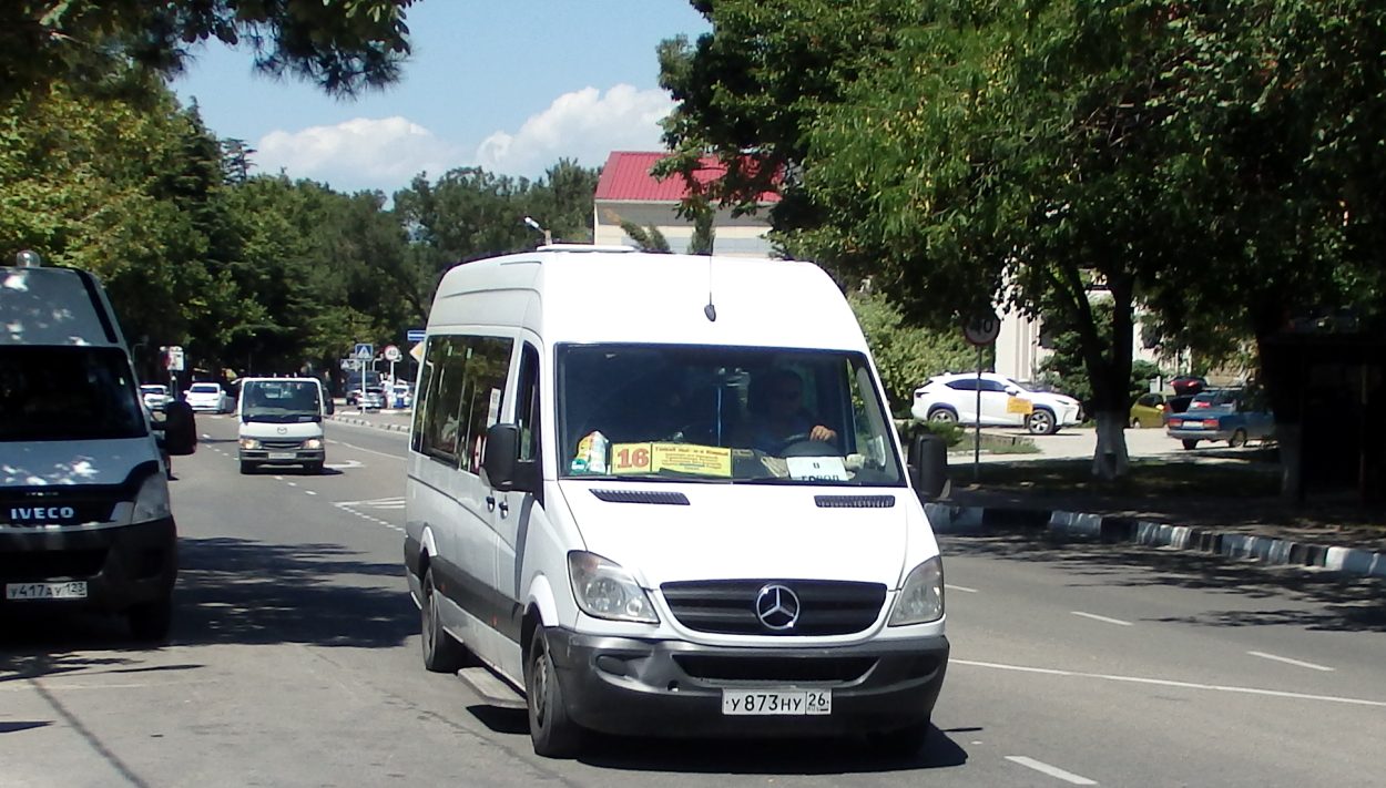 Краснодарский край, Mercedes-Benz Sprinter W906 315CDI № У 873 НУ 26