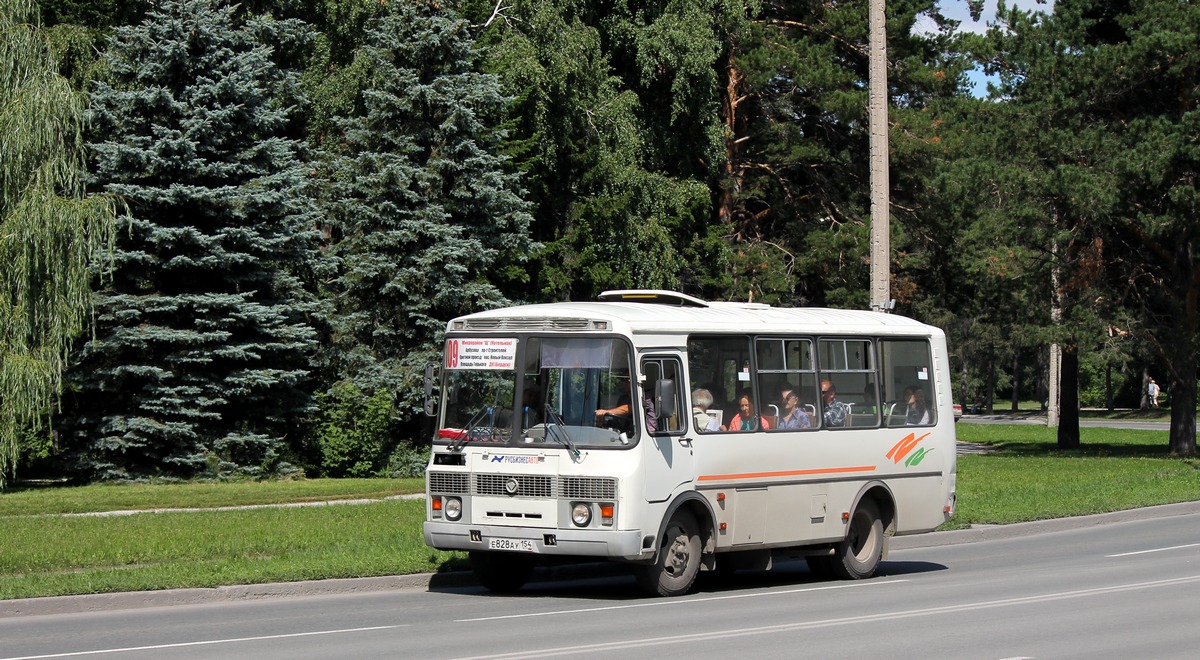 Новосибирская область, ПАЗ-32054 № Е 828 АУ 154