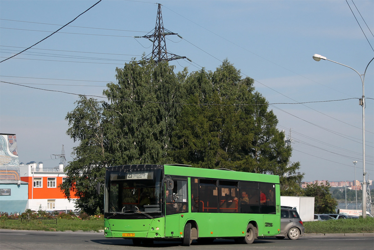 Новосибирская область, МАЗ-206.060 № 3125