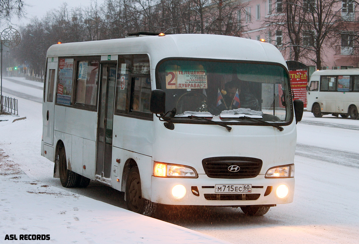 Псковская область, Hyundai County LWB C09 (ТагАЗ) № М 715 ЕС 60