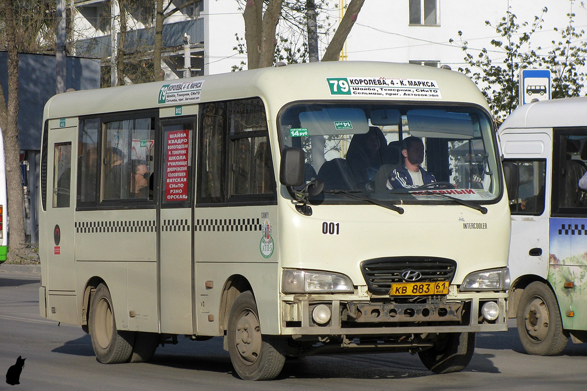 Ростовская область, Hyundai County SWB C08 (РЗГА) № 001