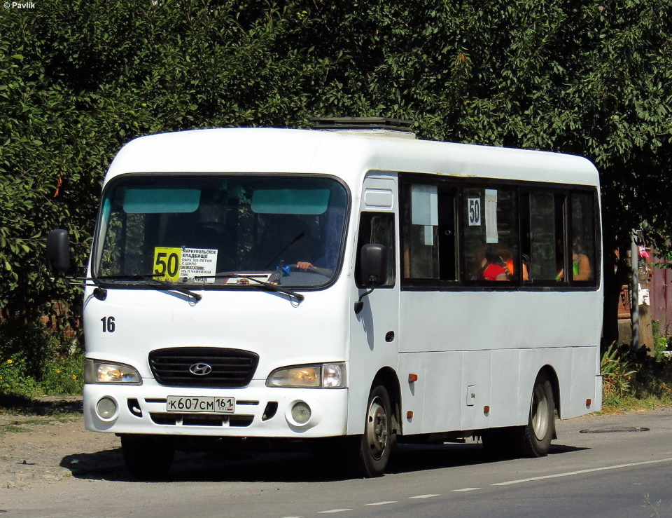 Ростовская область, Hyundai County LWB C09 (ТагАЗ) № 16