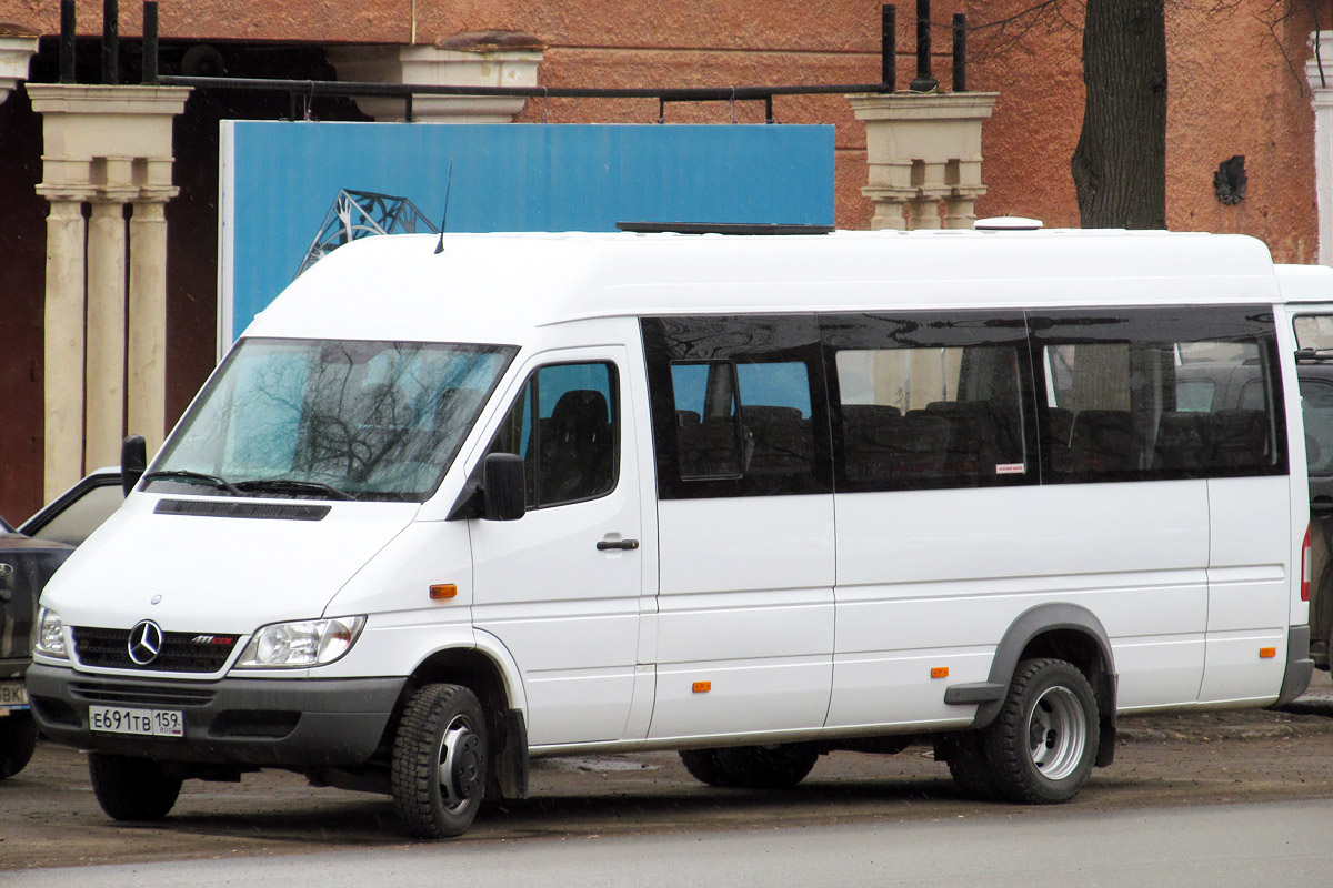 Пермский край, Луидор-223203 (MB Sprinter Classic) № Е 691 ТВ 159