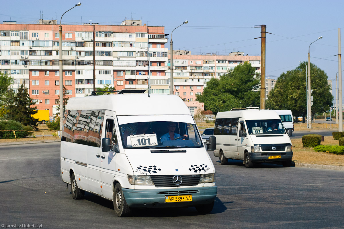 Запорожская область, Mercedes-Benz Sprinter W903 312D № AP 5393 AA