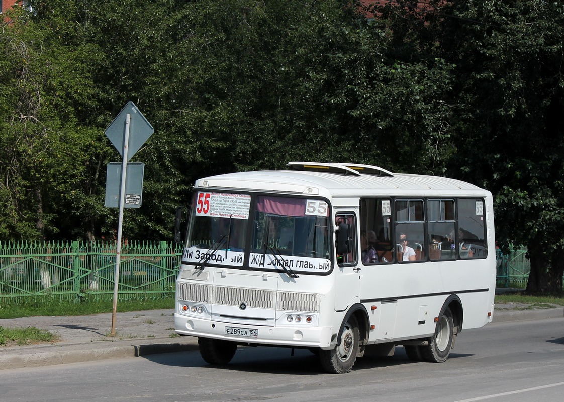 Новосибирская область, ПАЗ-32054 № Е 289 СА 154