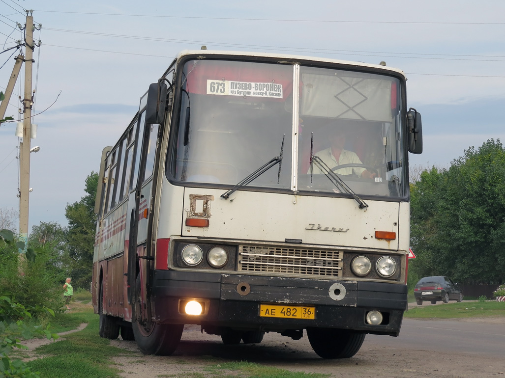 Воронежская область, Ikarus 250.93 № АЕ 482 36