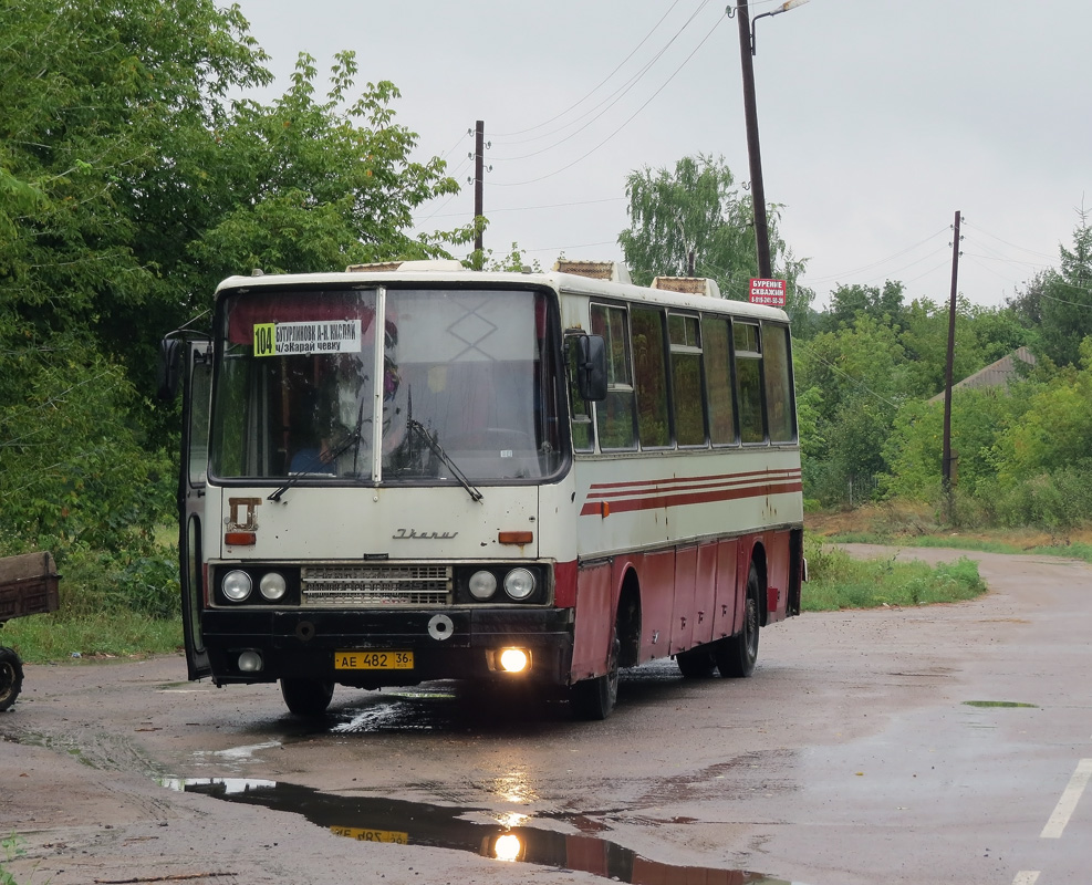 Воронежская область, Ikarus 250.93 № АЕ 482 36