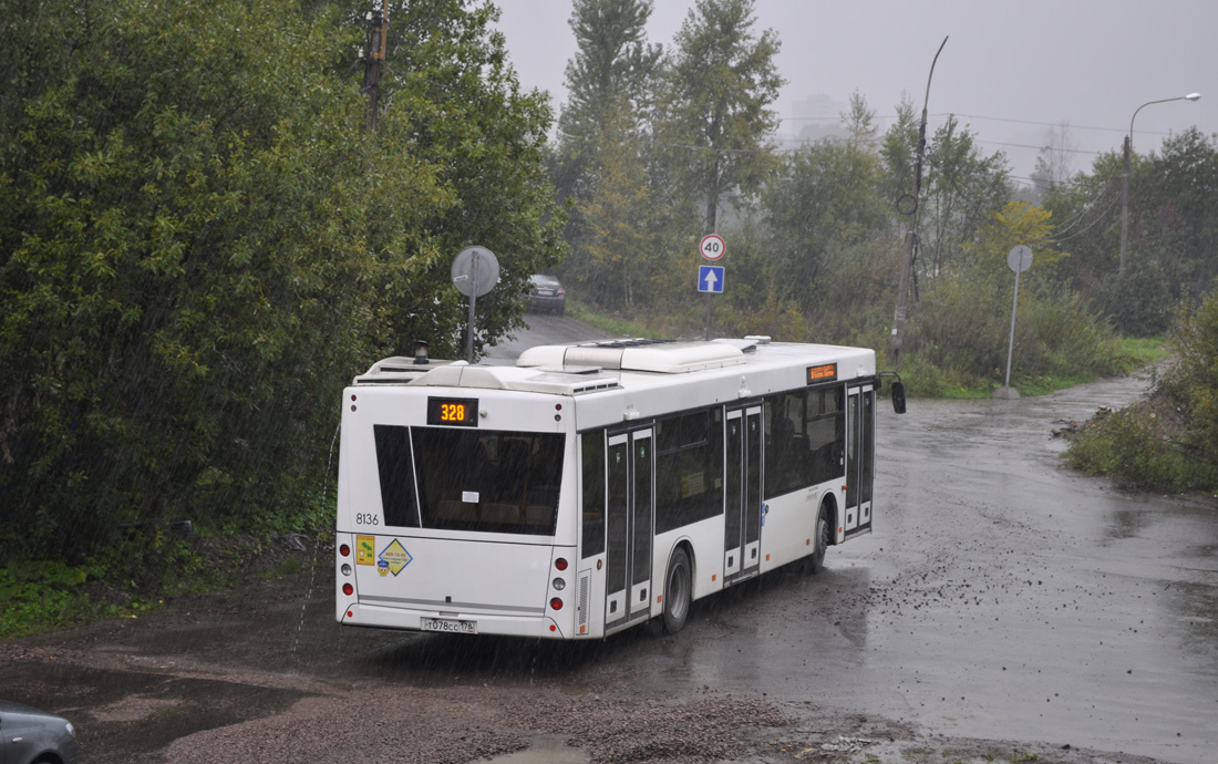 Санкт-Петербург, МАЗ-203.085 № 8136