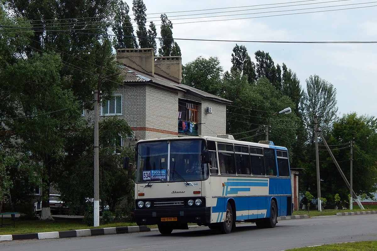 Воронежская область, Ikarus 256.75 № АВ 019 36 — Фото — Автобусный транспорт