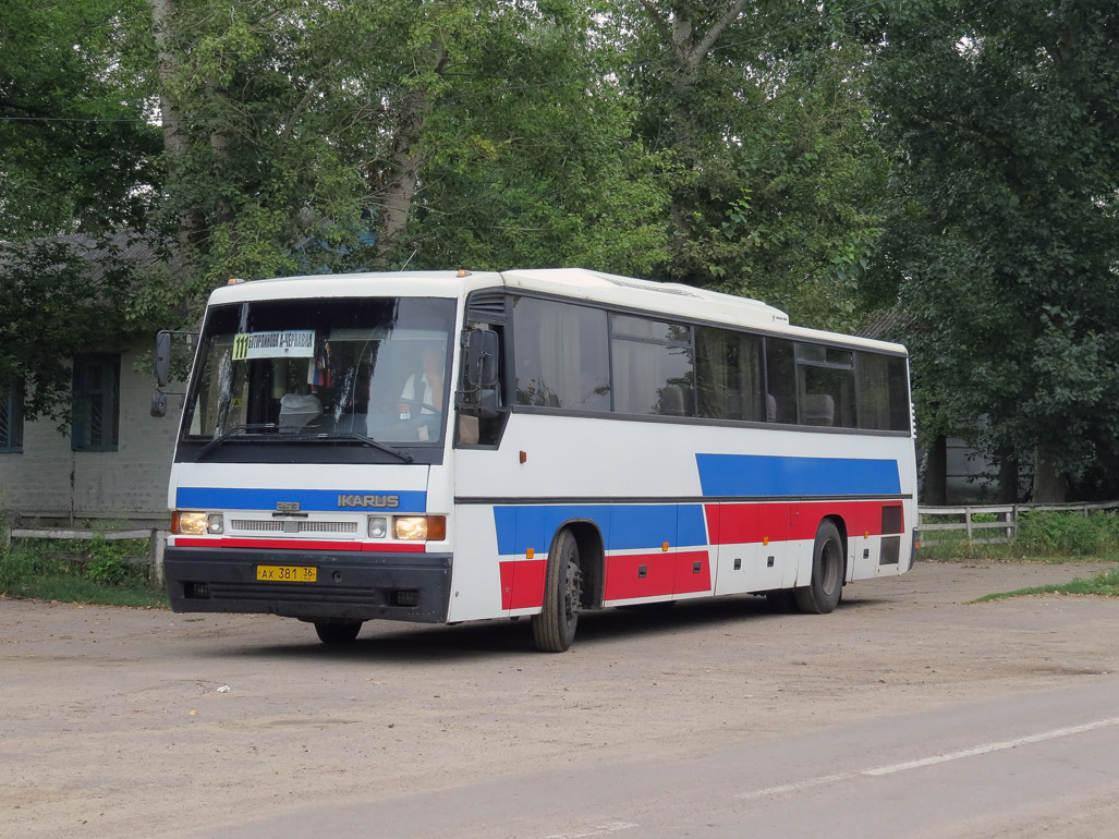 Воронежская область, Ikarus 253.52 № АХ 381 36