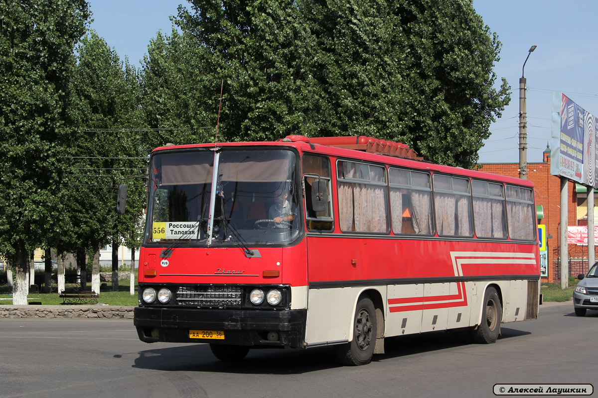 Россошь таловая. Икарус 253. Икарус в Воронеже. Икарус 256 Фотобус. Икарус 256 Тамбов.