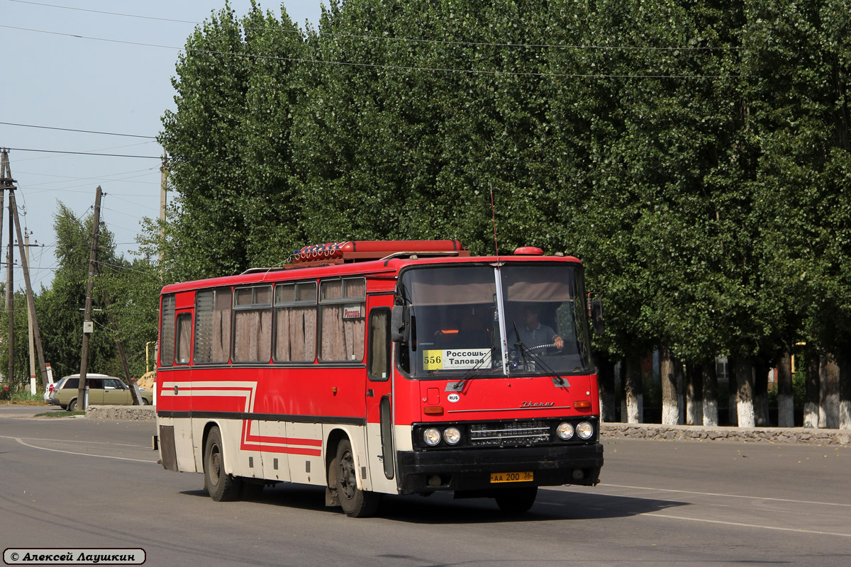 Воронежская область, Ikarus 256 № АА 200 36 — Фото — Автобусный транспорт