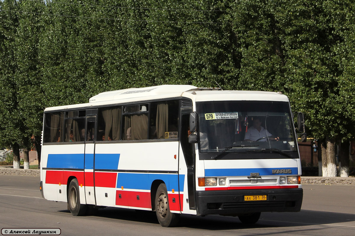 Воронежская область, Ikarus 253.52 № АХ 381 36