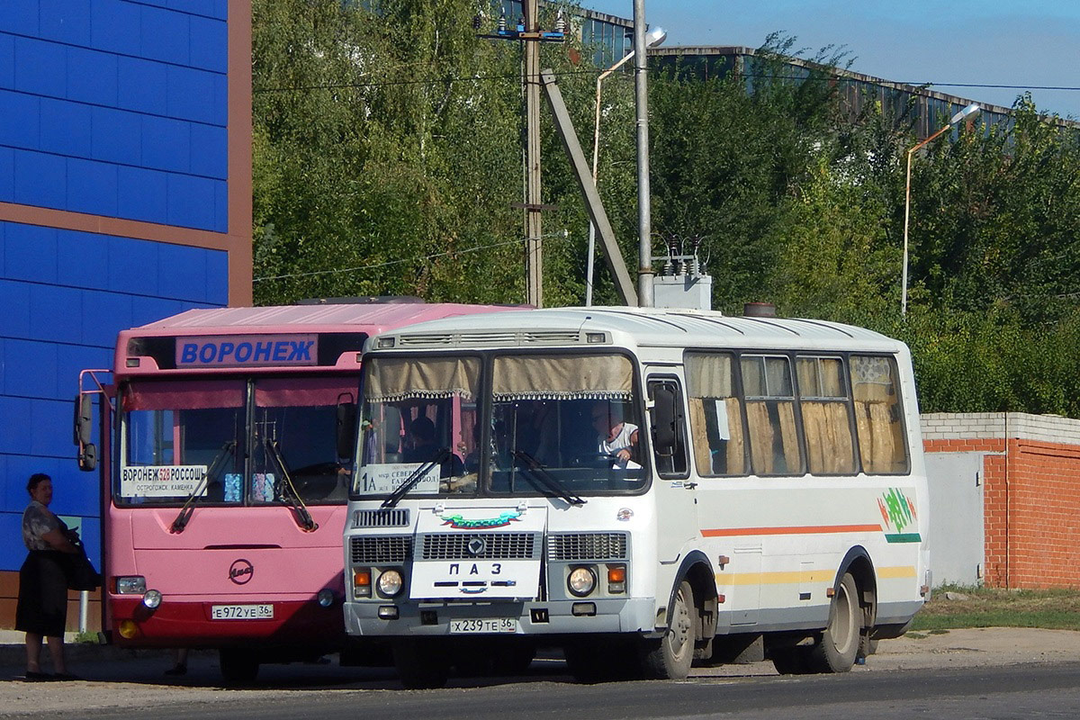 Воронежская область, ПАЗ-32054 № Х 239 ТЕ 36