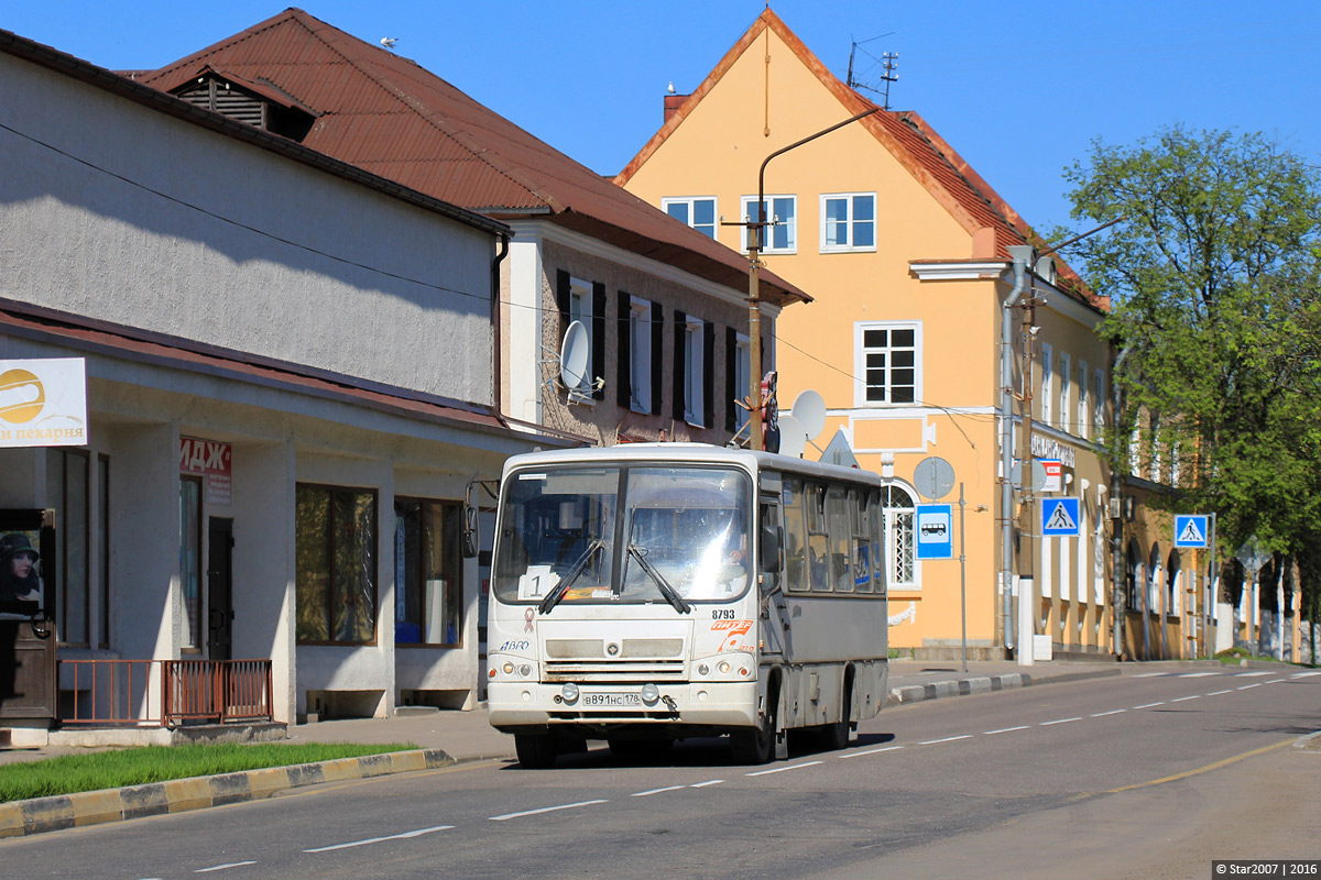 Ленинградская область, ПАЗ-320402-05 № 8793