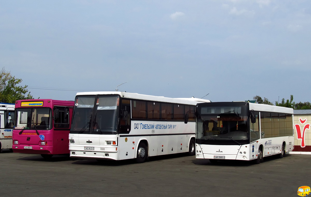 Gomel region, MAZ-226.068 # 12394; Gomel region — Bus terminals and bus stations