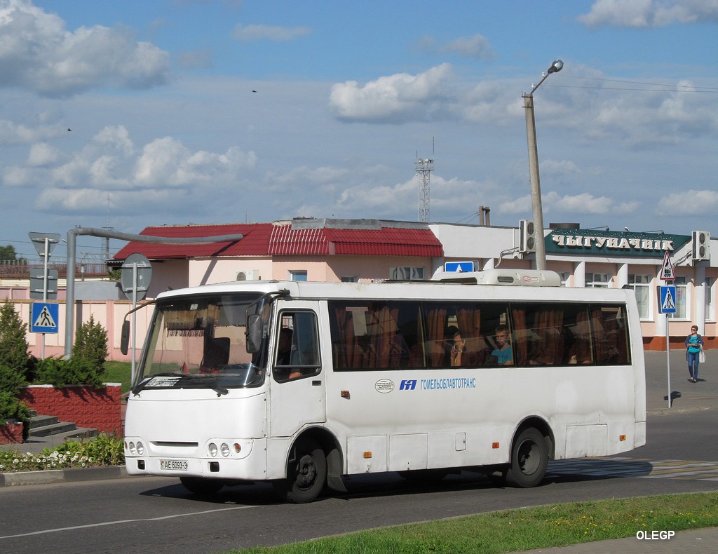 Gomel region, GARZ A09212 "Radimich" # 015466