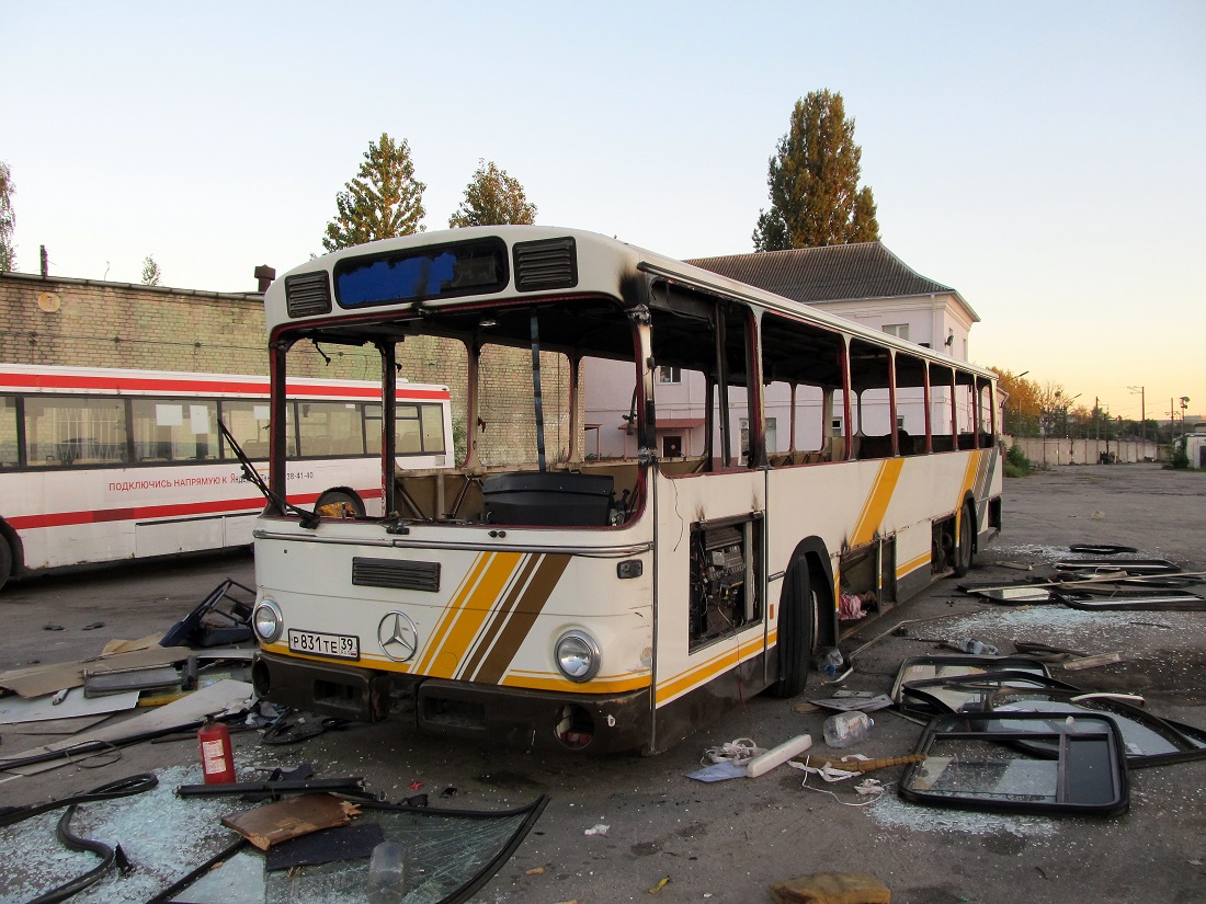 Калининградская область, Mercedes-Benz O307 № Р 831 ТЕ 39