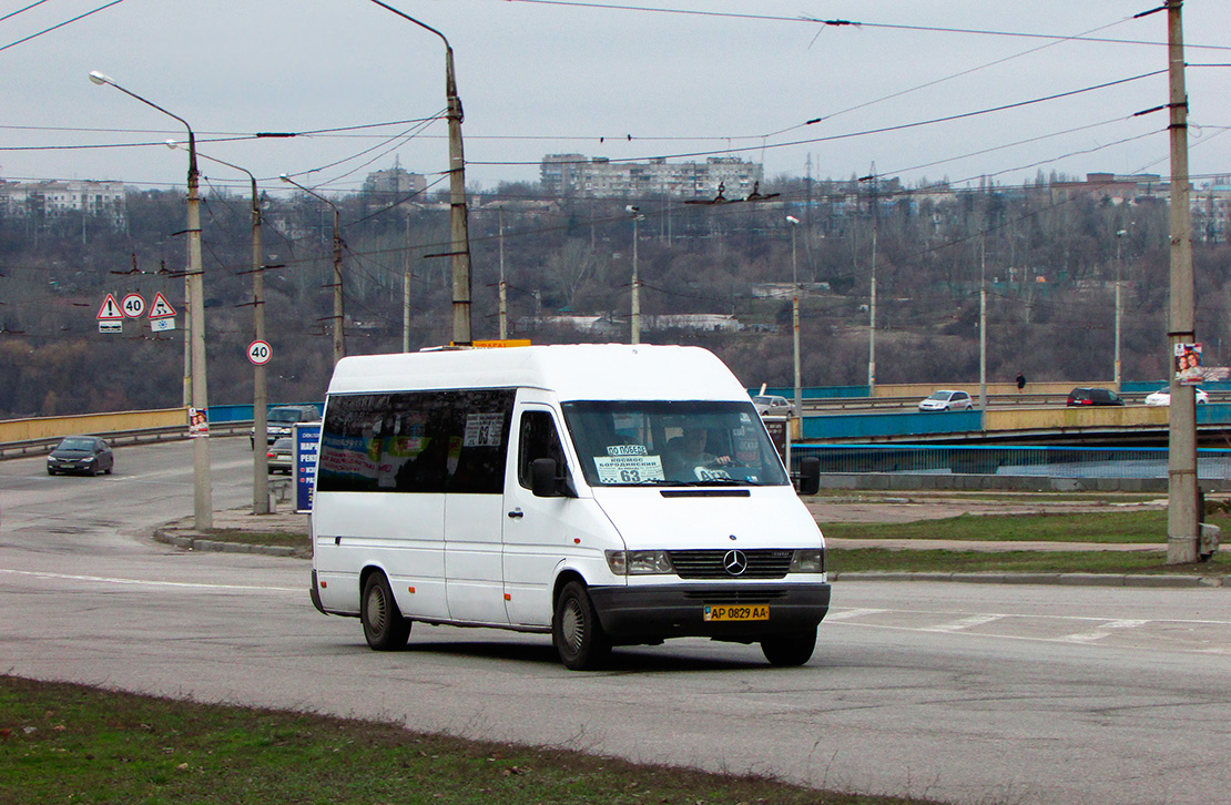 Zaporozhye region, Mercedes-Benz Sprinter W903 310D # AP 0829 AA