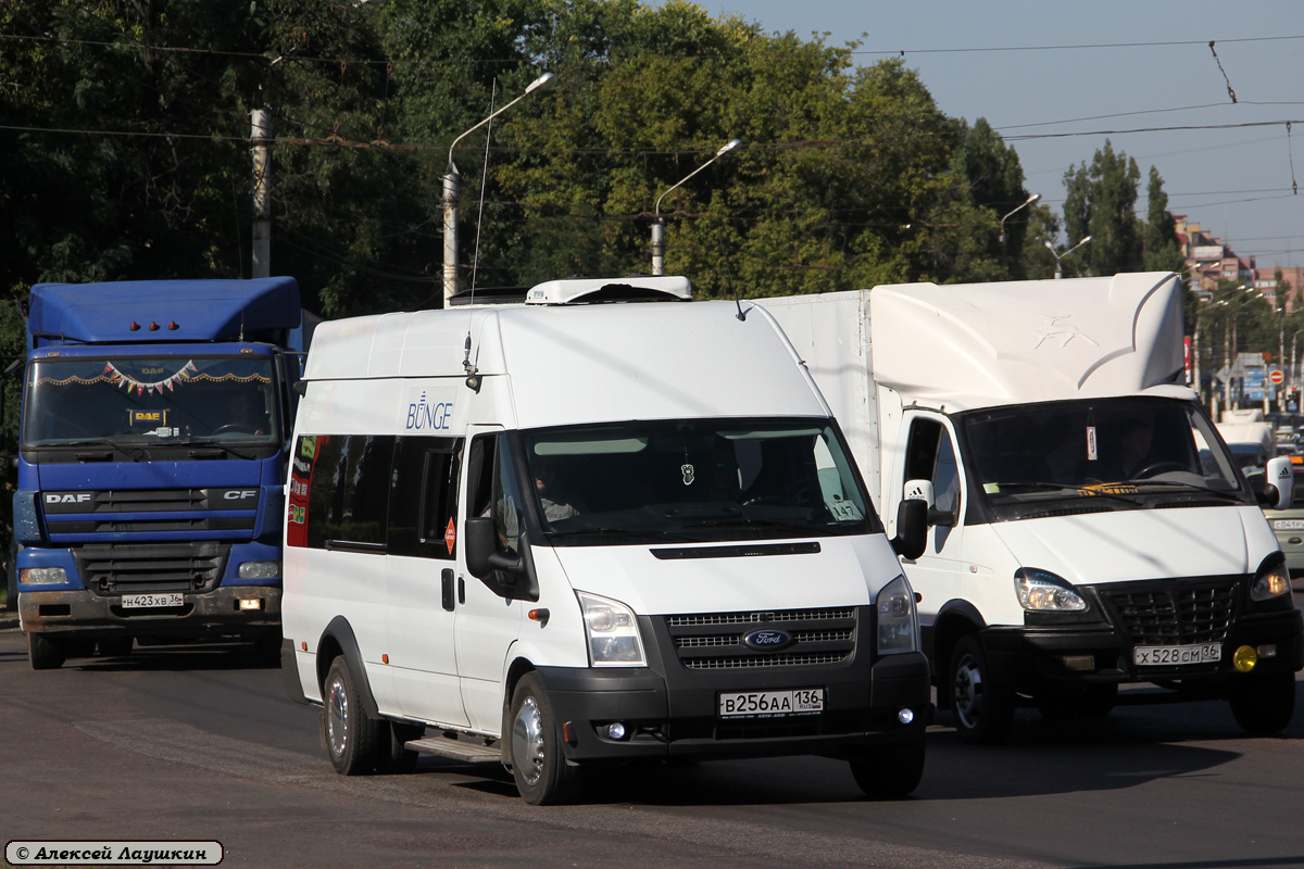 Воронежская область, Нижегородец-222702 (Ford Transit) № В 256 АА 136