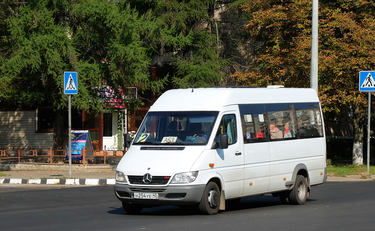 Калужская область, Луидор-223201 (MB Sprinter Classic) № Н 254 УЕ 40