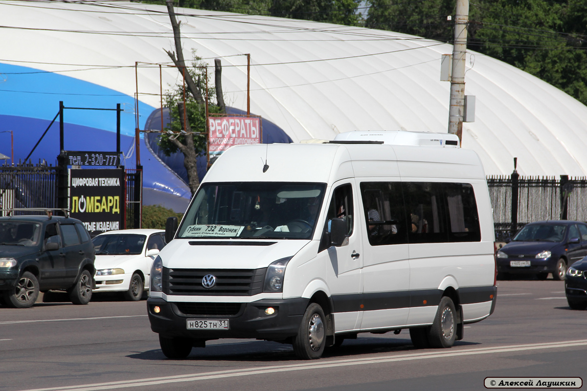 Воронеж Старый Оскол Автобус Расписание Цена