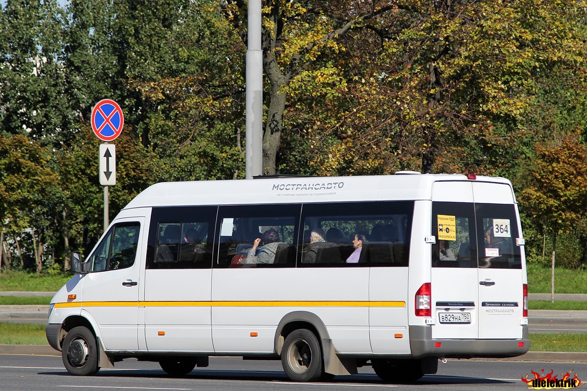 Московская область, Луидор-223203 (MB Sprinter Classic) № 5004