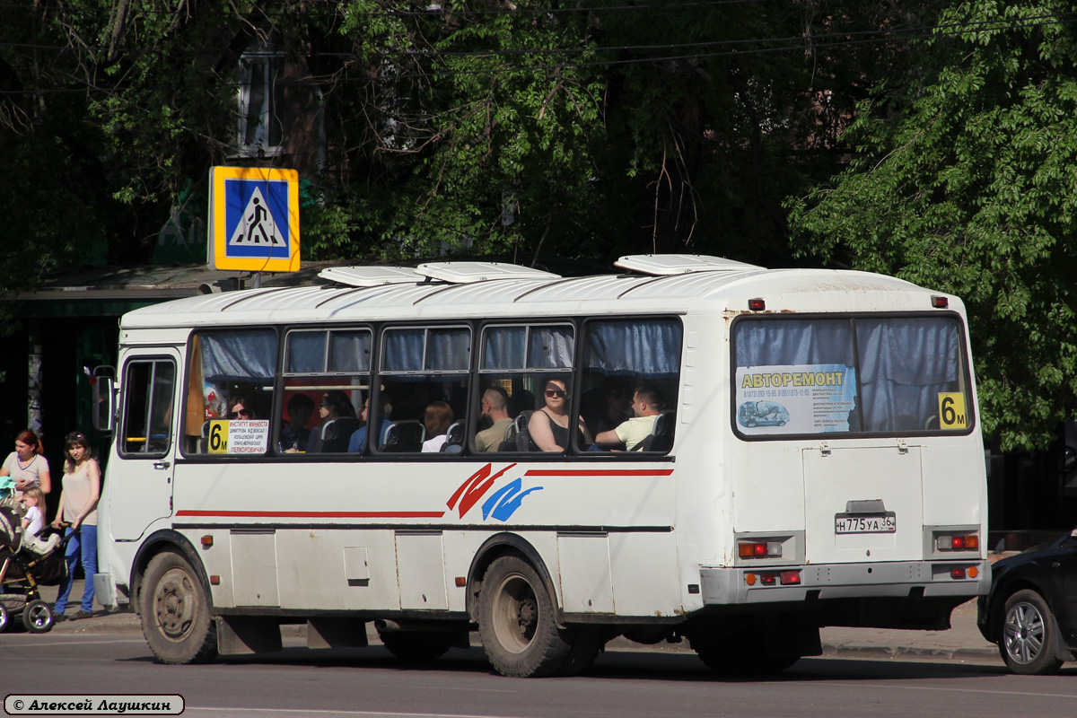 Воронежская область, ПАЗ-4234 № Н 775 УА 36