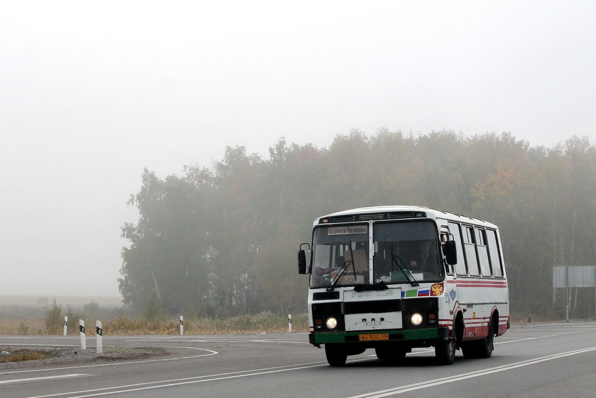 Омская область, ПАЗ-3205-110 № 234